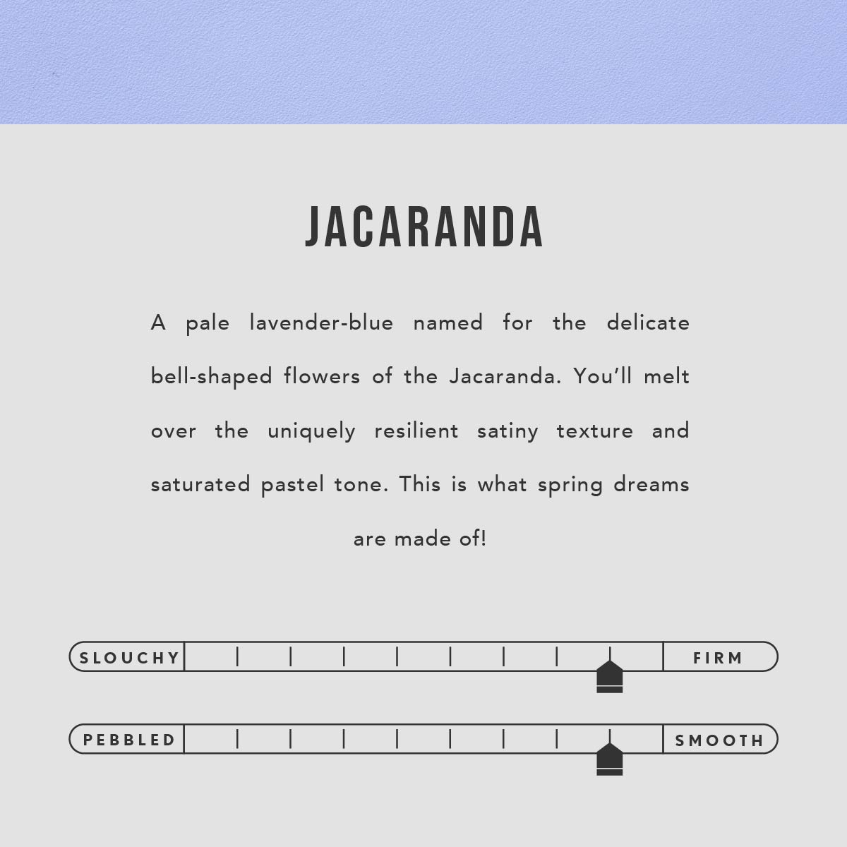 Jacaranda | infographic