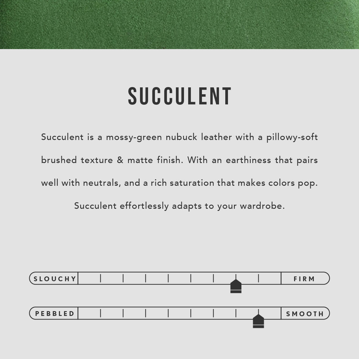 Succulent | infographic