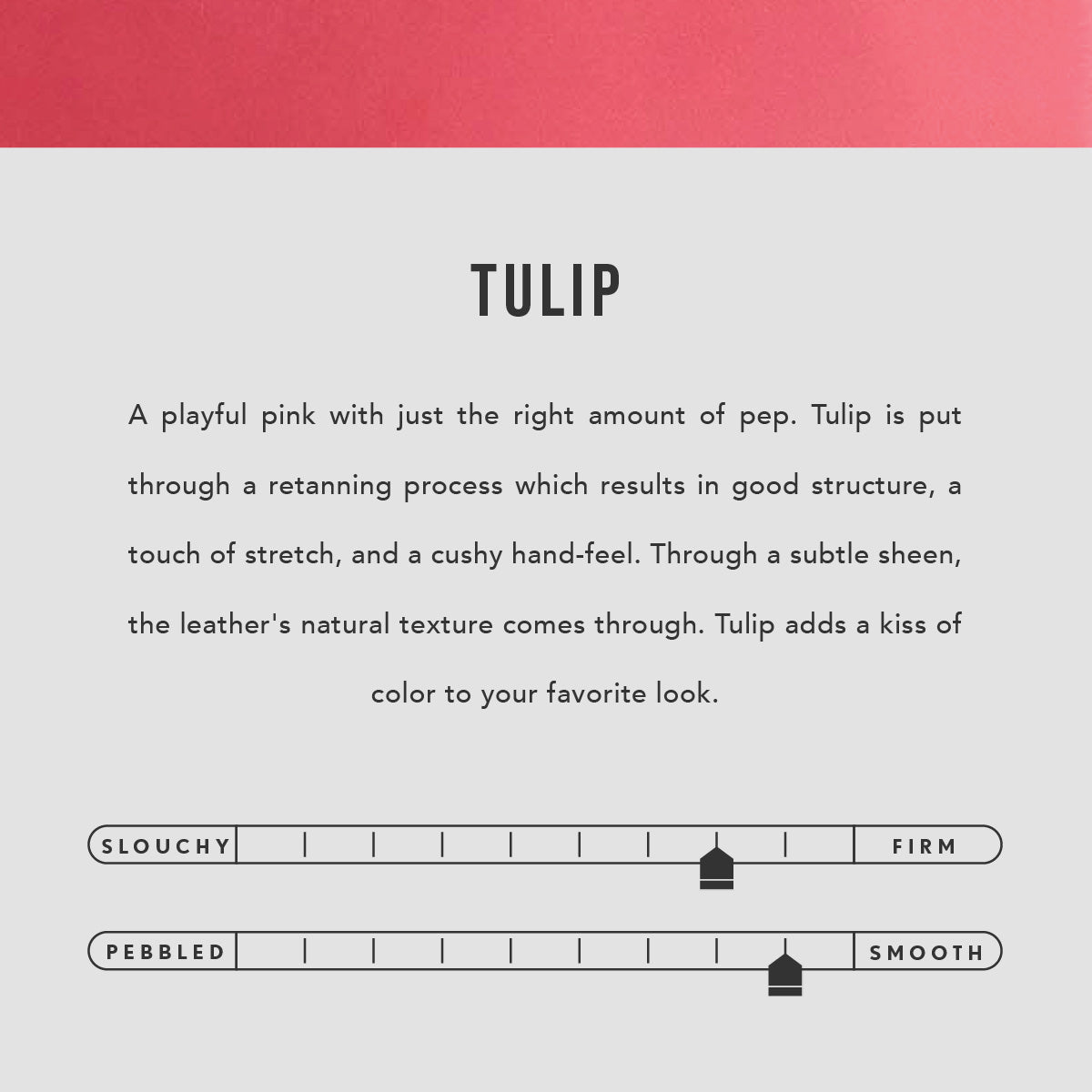 Tulip  | infographic