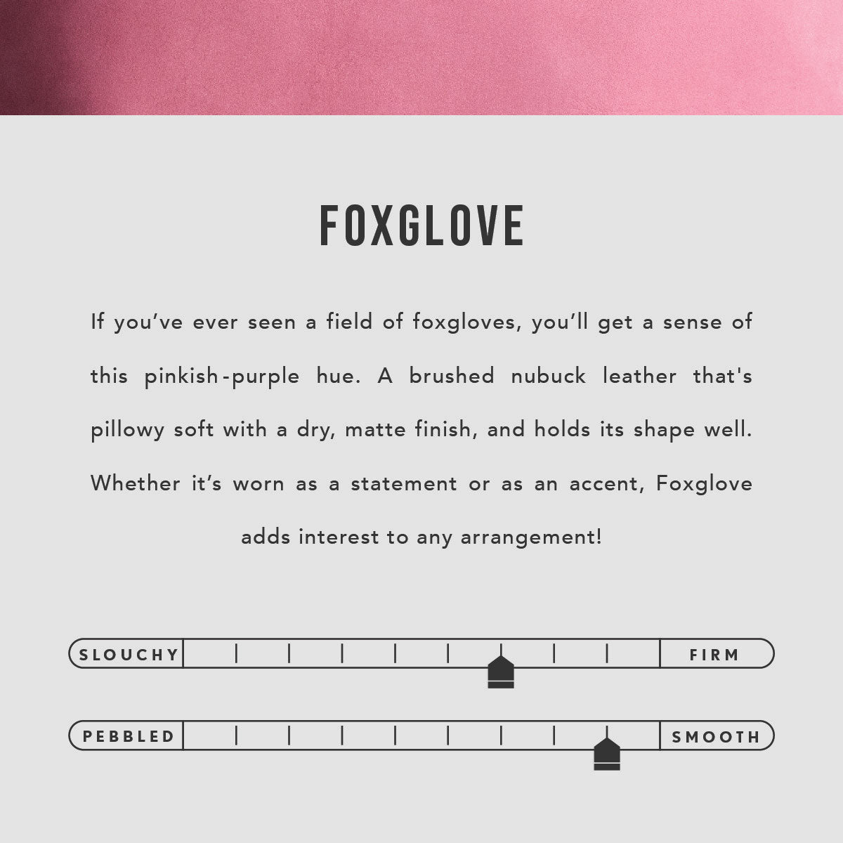 Foxglove | infographic