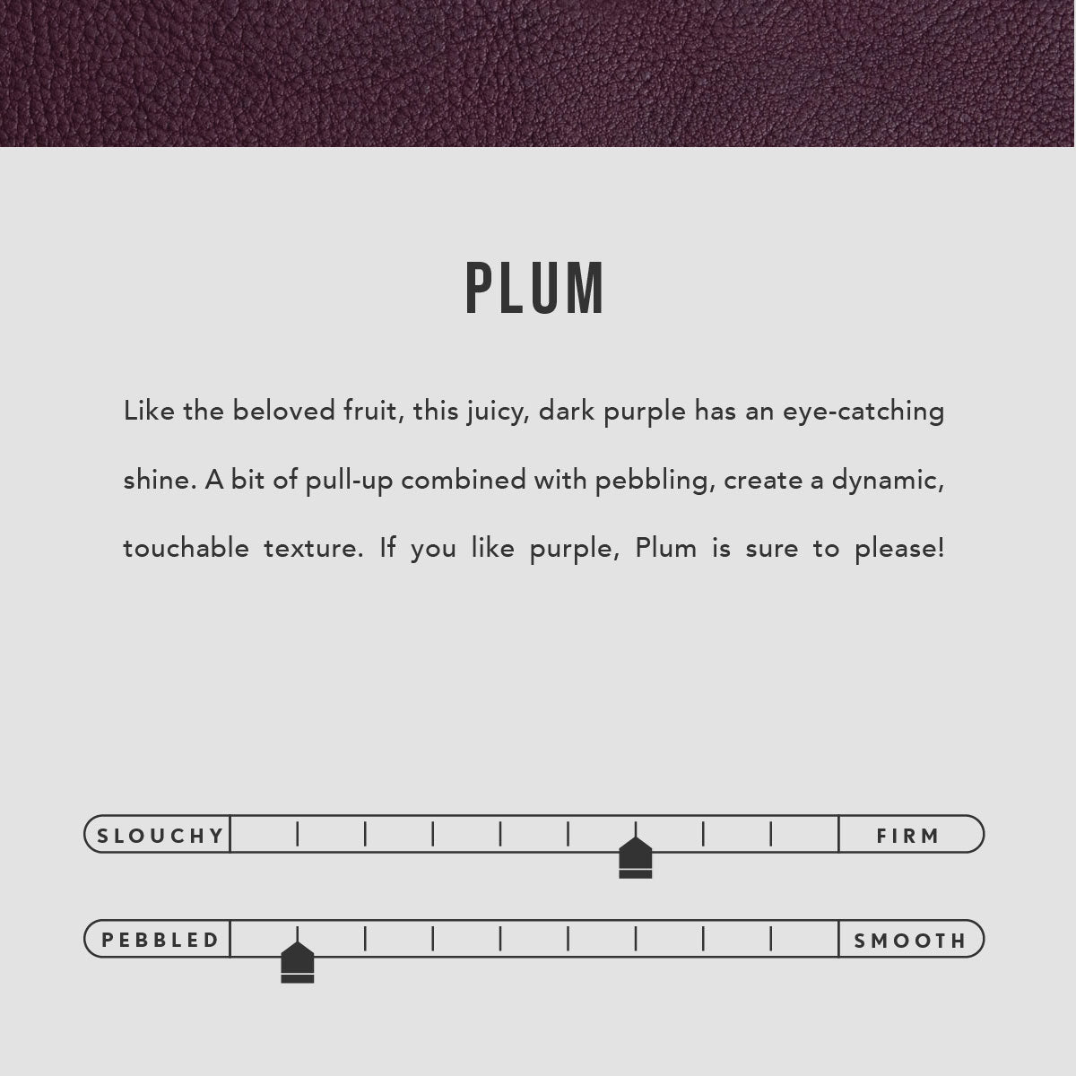  Plum | infographic