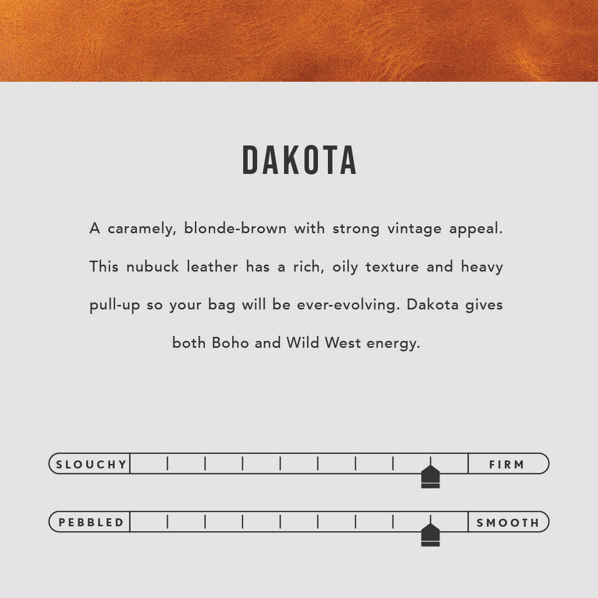 All Color: Dakota | infographic