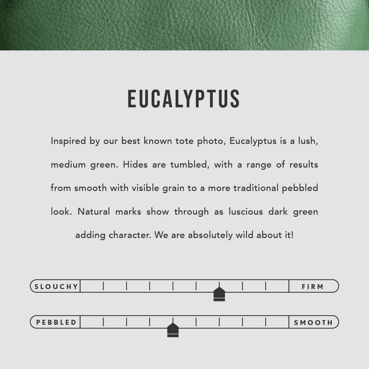 All Color: Eucalyptus | infographic