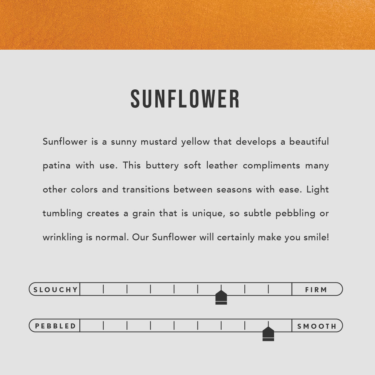  Sunflower | infographic