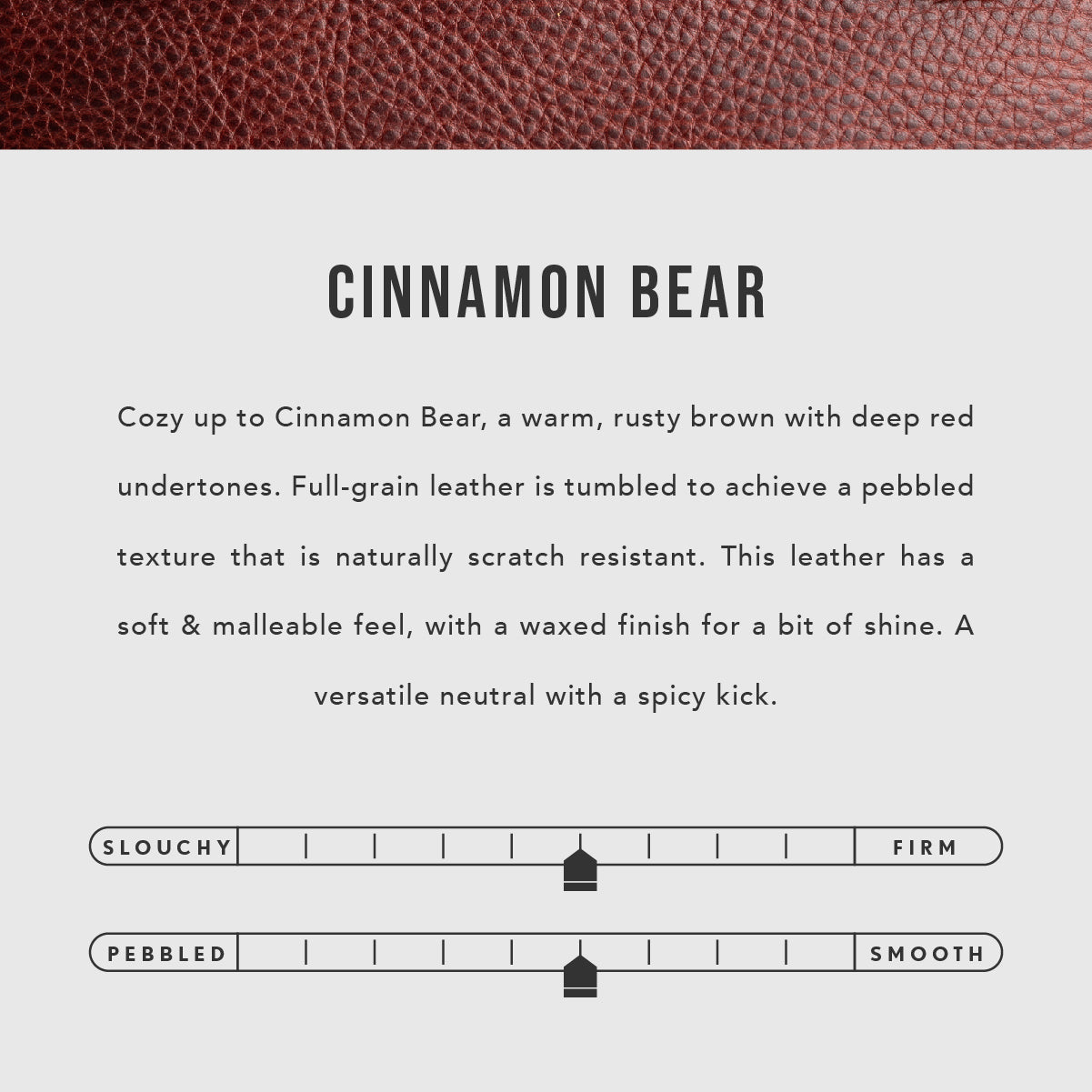 All Color: Cinnamon Bear | infographic