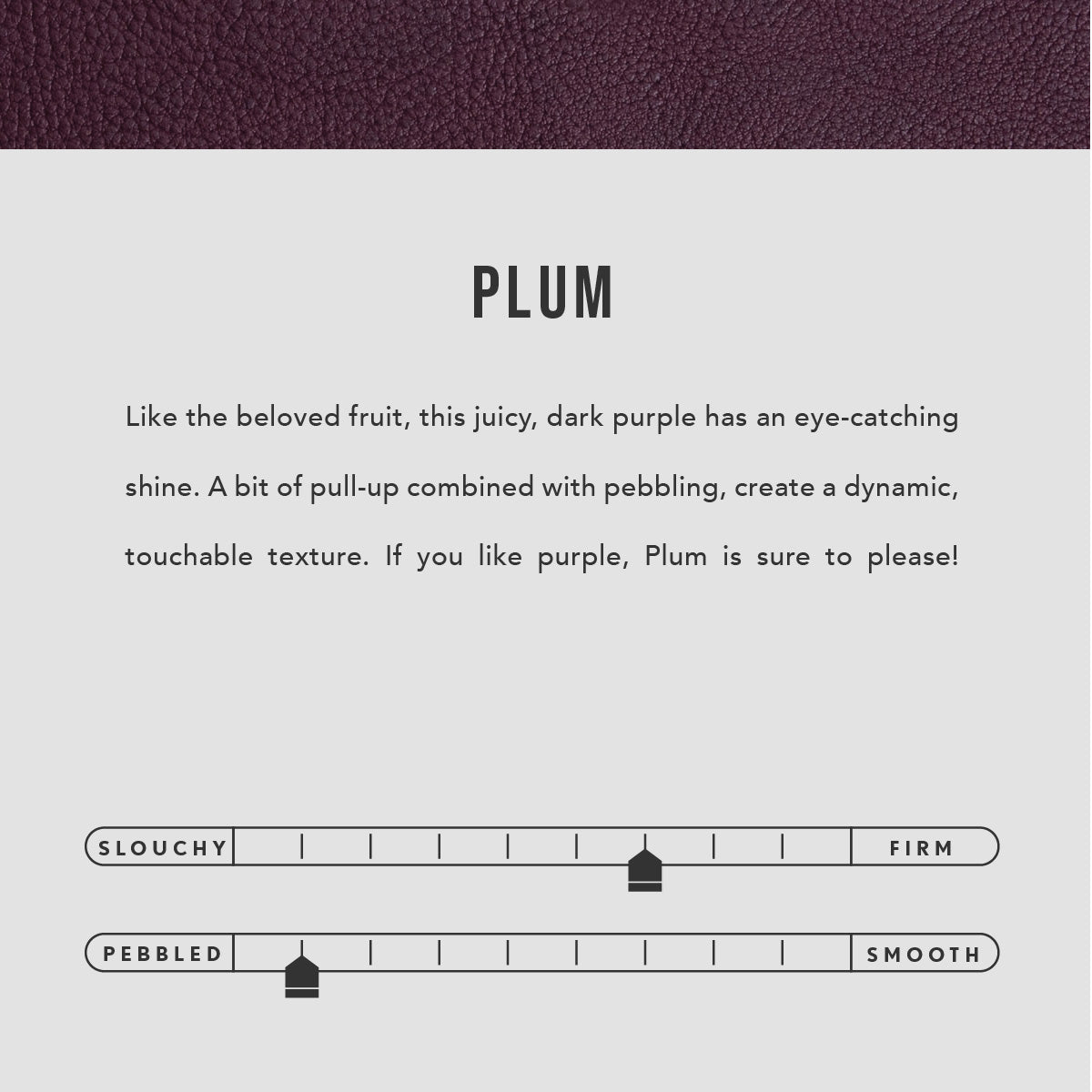 Plum  | infographic