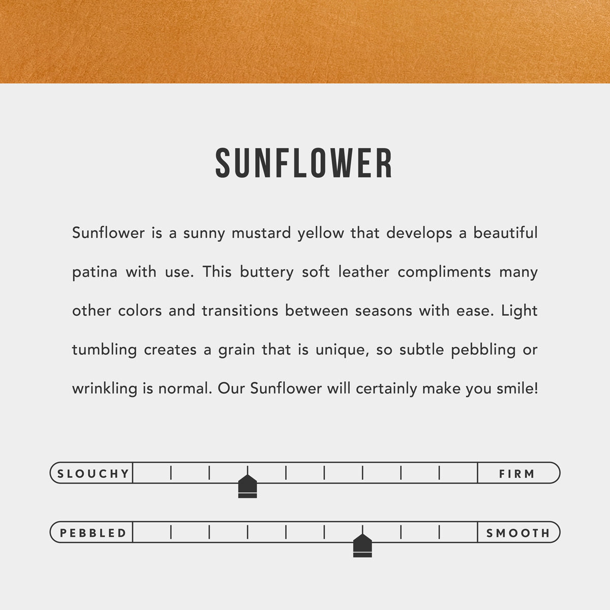 Sunflower | infographic